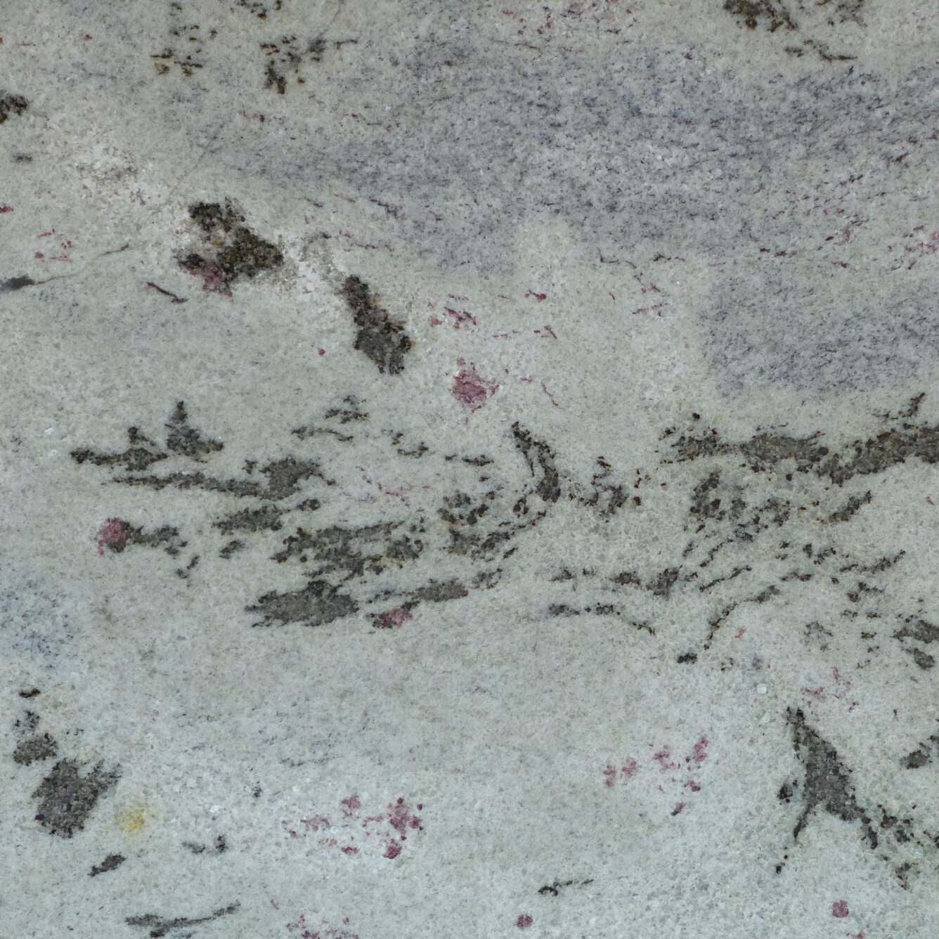 Lardi marbriers, granit, vert eucaliptus